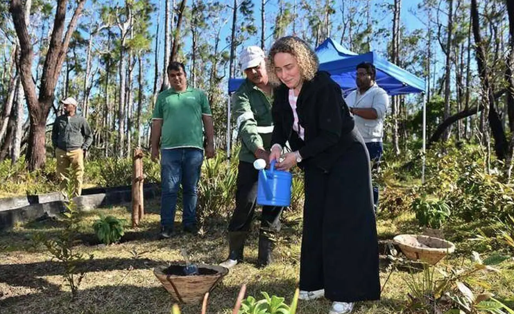 Une plante rare éteinte depuis 30 ans de retour à l’île Maurice